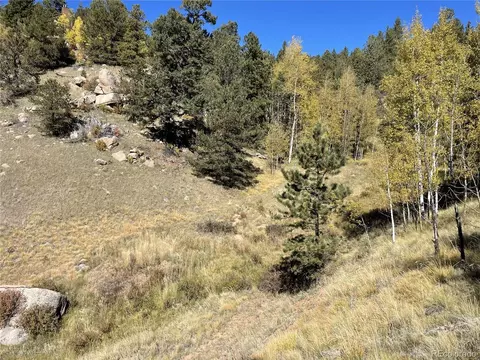 1520 Pikes Peak Dr, Divide, CO 80814 photo 4