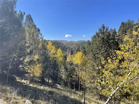 1520 Pikes Peak Dr, Divide, CO 80814 photo 12