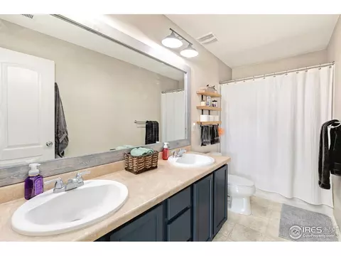 1555 Basildon Ct, Windsor, CO 80550 photo 26