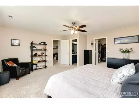 1555 Basildon Ct, Windsor, CO 80550 photo 25