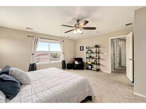 1555 Basildon Ct, Windsor, CO 80550 photo 24