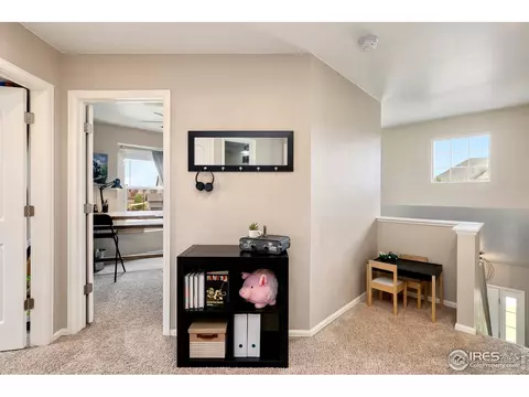 1555 Basildon Ct, Windsor, CO 80550 photo 20