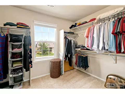 1555 Basildon Ct, Windsor, CO 80550 photo 27
