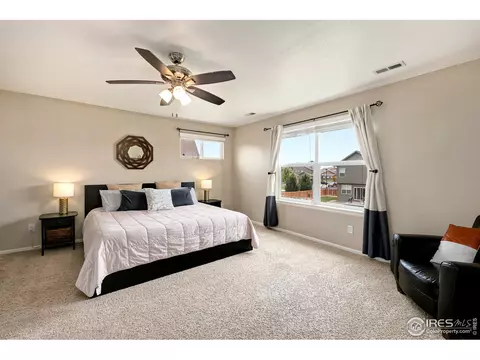 1555 Basildon Ct, Windsor, CO 80550 photo 22