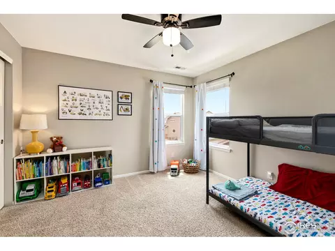 1555 Basildon Ct, Windsor, CO 80550 photo 28