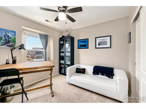 1555 Basildon Ct, Windsor, CO 80550 photo 31