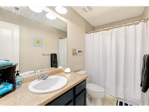1555 Basildon Ct, Windsor, CO 80550 photo 32