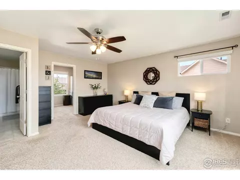 1555 Basildon Ct, Windsor, CO 80550 photo 23