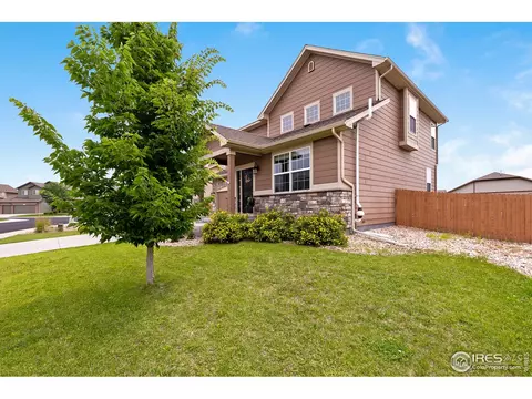 1555 Basildon Ct, Windsor, CO 80550 photo 40