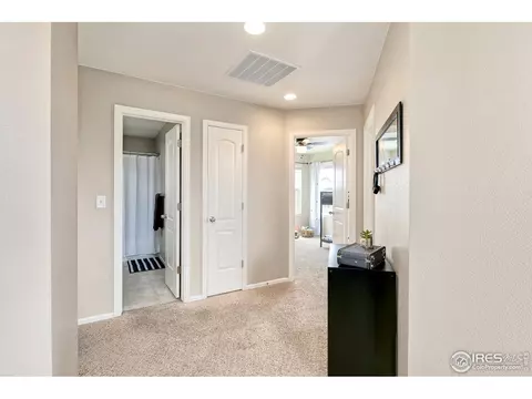 1555 Basildon Ct, Windsor, CO 80550 photo 21