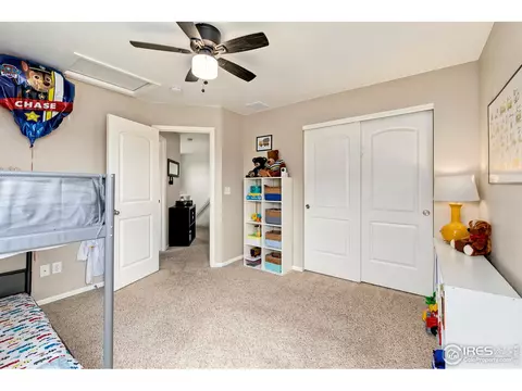 1555 Basildon Ct, Windsor, CO 80550 photo 29