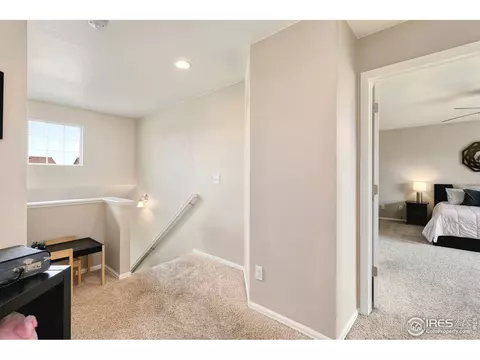 1555 Basildon Ct, Windsor, CO 80550 photo 19