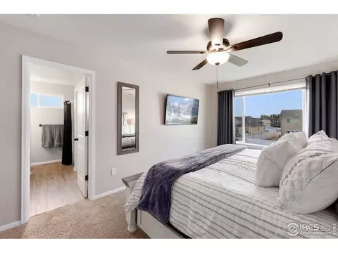 1568 Driftline Dr, Windsor, CO 80550 photo 19