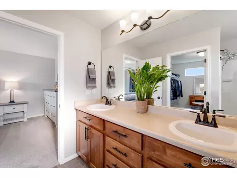 1568 Driftline Dr, Windsor, CO 80550 photo 22
