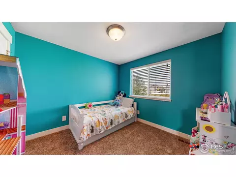 507 Prairie Clover Way, Severance, CO 80550 photo 17