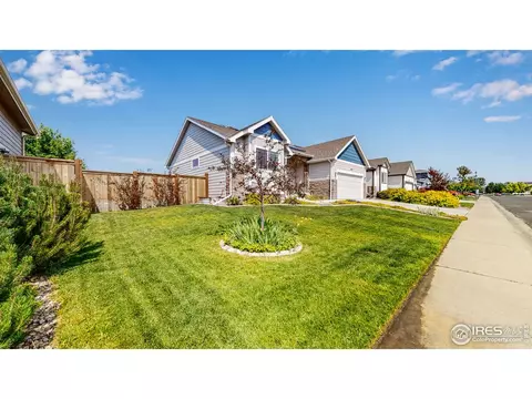 507 Prairie Clover Way, Severance, CO 80550 photo 36