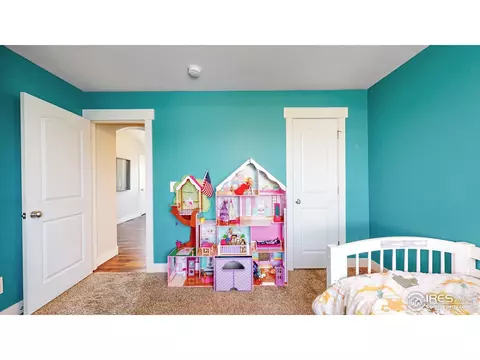 507 Prairie Clover Way, Severance, CO 80550 photo 16