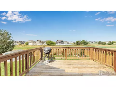 507 Prairie Clover Way, Severance, CO 80550 photo 31