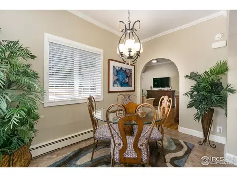 328 5th St, Windsor, CO 80550 photo 8