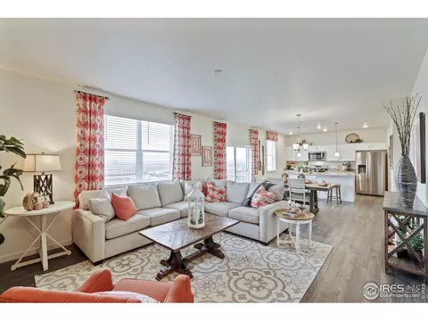 1255 Baker Pass St, Windsor, CO 80550 photo 12