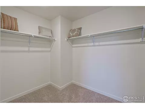 1255 Baker Pass St, Windsor, CO 80550 photo 30