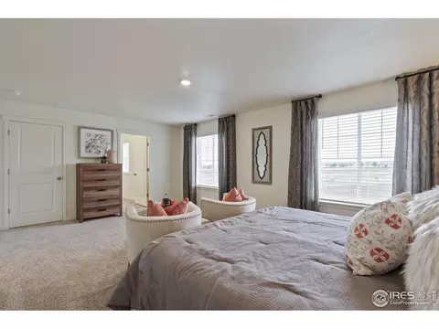 1255 Baker Pass St, Windsor, CO 80550 photo 21