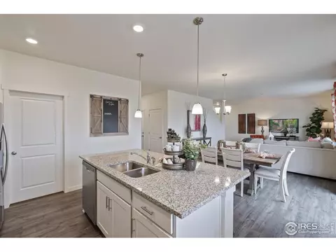 1255 Baker Pass St, Windsor, CO 80550 photo 10