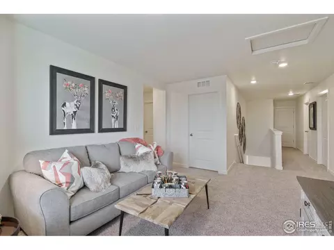 1255 Baker Pass St, Windsor, CO 80550 photo 18