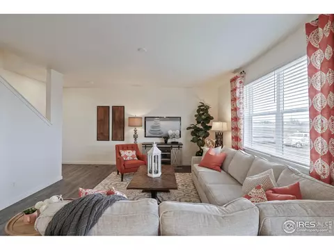 1255 Baker Pass St, Windsor, CO 80550 photo 17