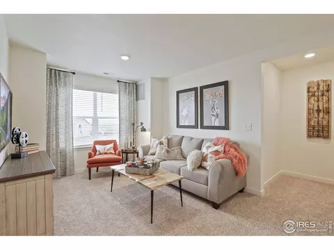 1255 Baker Pass St, Windsor, CO 80550 photo 19