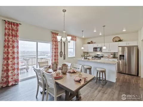 1255 Baker Pass St, Windsor, CO 80550 photo 11