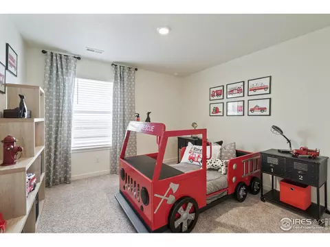 1255 Baker Pass St, Windsor, CO 80550 photo 25