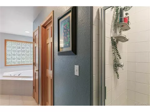30 Bristlecone Cir, Bailey, CO 80421 photo 21
