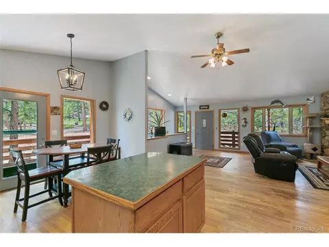 30 Bristlecone Cir, Bailey, CO 80421 photo 14