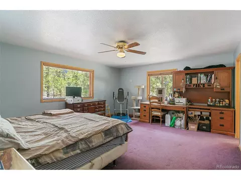 30 Bristlecone Cir, Bailey, CO 80421 photo 17