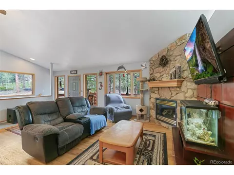30 Bristlecone Cir, Bailey, CO 80421 photo 6