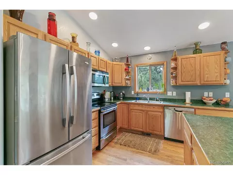 30 Bristlecone Cir, Bailey, CO 80421 photo 13