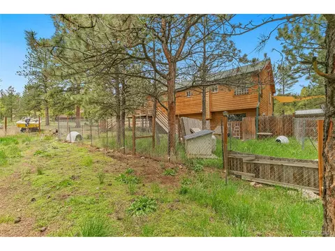 30 Bristlecone Cir, Bailey, CO 80421 photo 31