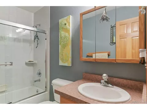 30 Bristlecone Cir, Bailey, CO 80421 photo 26