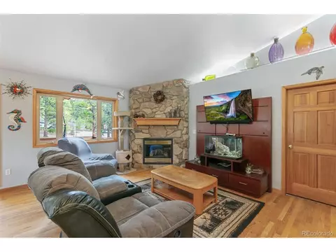 30 Bristlecone Cir, Bailey, CO 80421 photo 5