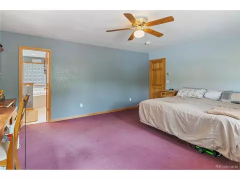 30 Bristlecone Cir, Bailey, CO 80421 photo 18