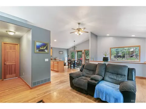 30 Bristlecone Cir, Bailey, CO 80421 photo 7