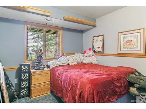 30 Bristlecone Cir, Bailey, CO 80421 photo 24