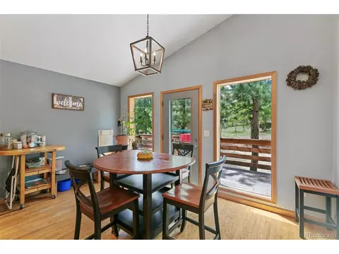 30 Bristlecone Cir, Bailey, CO 80421 photo 15