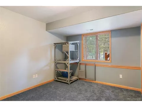 30 Bristlecone Cir, Bailey, CO 80421 photo 25