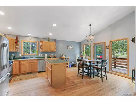 30 Bristlecone Cir, Bailey, CO 80421 photo 9