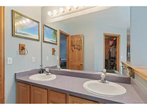 30 Bristlecone Cir, Bailey, CO 80421 photo 19