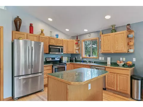 30 Bristlecone Cir, Bailey, CO 80421 photo 10