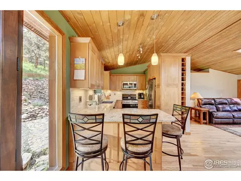 771 Roland Dr, Bailey, CO 80421 photo 16