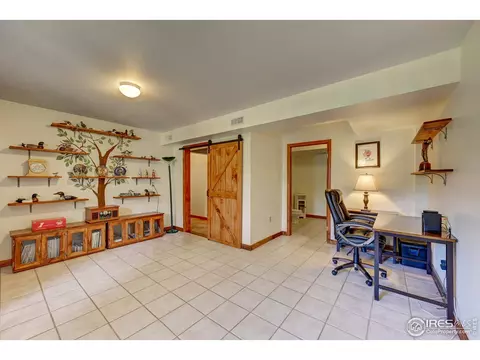 771 Roland Dr, Bailey, CO 80421 photo 28